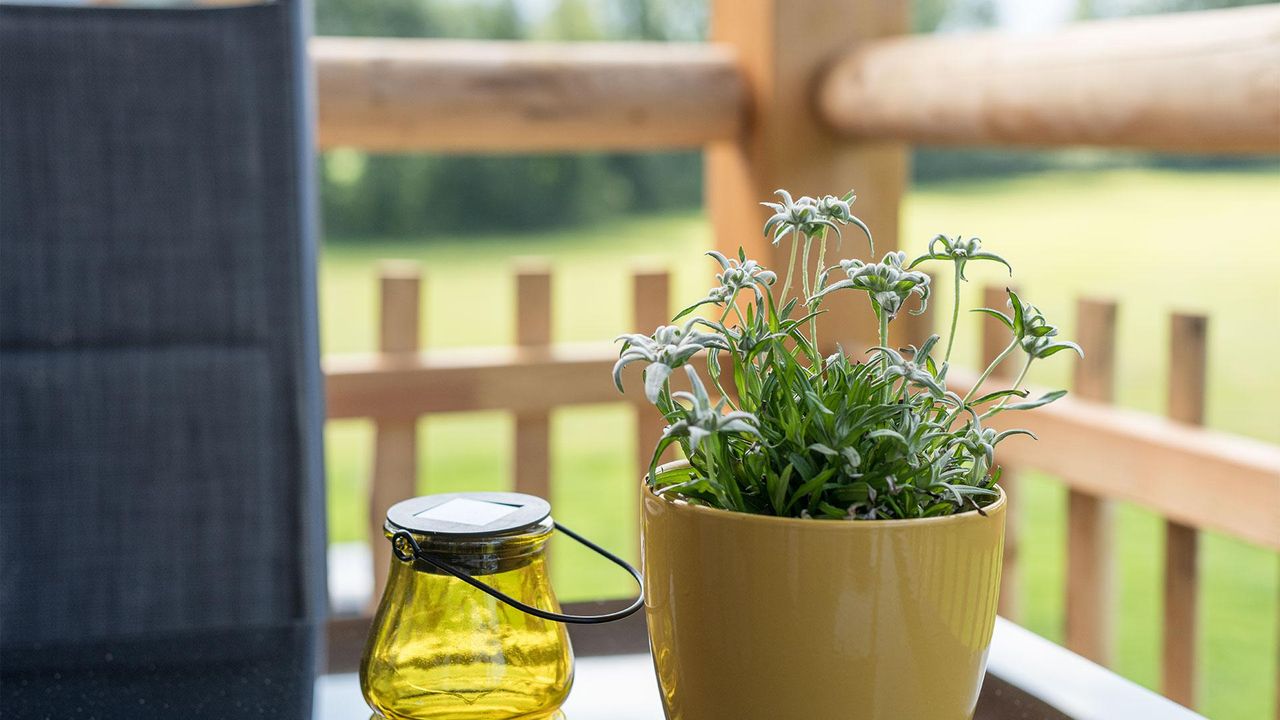 muehle11-ferienwohnungen-allgaeu-design-1stof8-789 muehle11-ferienwohnungen-allgaeu-design-1stof8-789